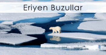 Buzulların Erimesi